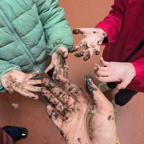 Le club nature en famille abonnement 10 sorties