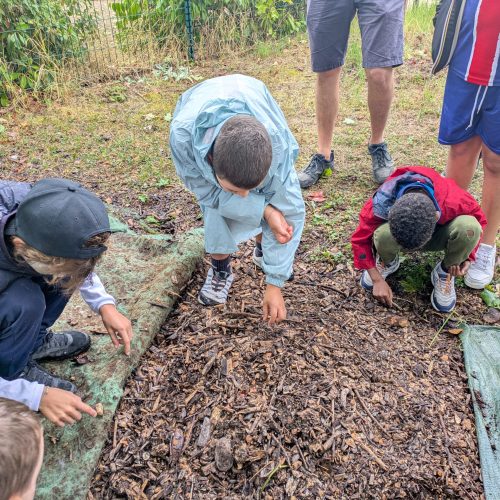 06/11/2025 : Les super-héros du sol nettoient leur royaume !