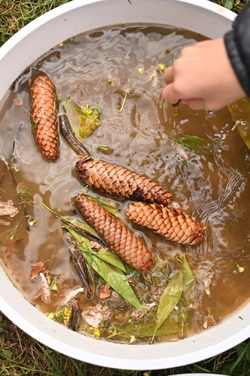 Sorte du 10/01/2026 : La Boue des Rois